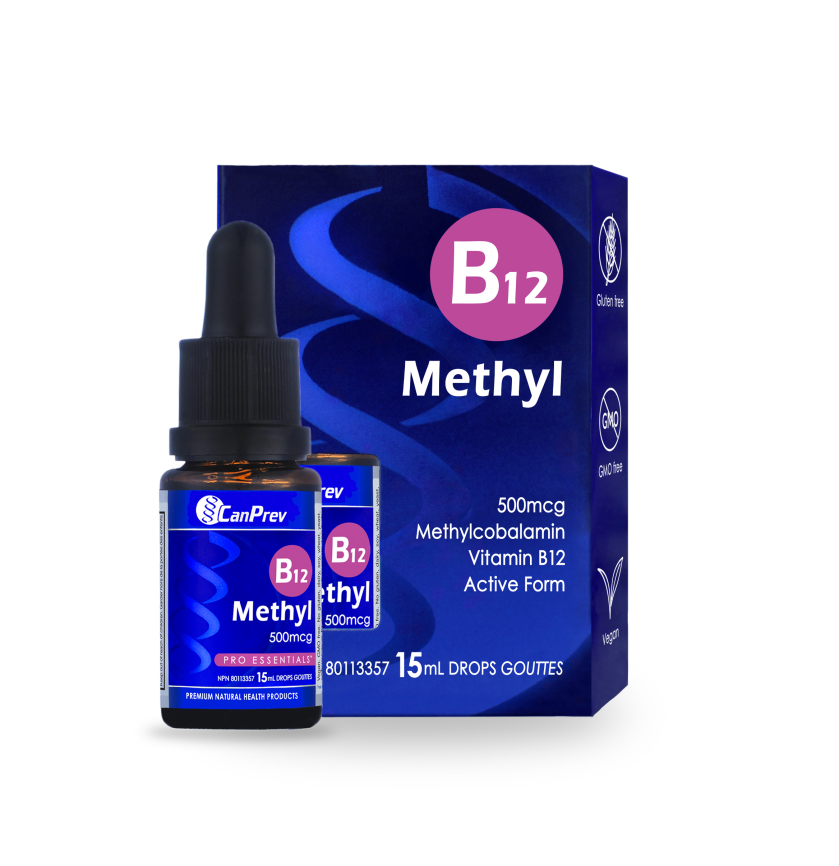 B12 Methyl 500mcg Drops – Blueberry