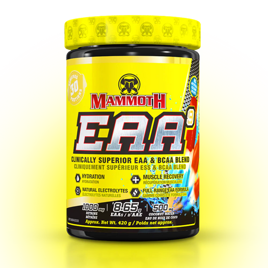 Mammoth EAA Rocket pop
