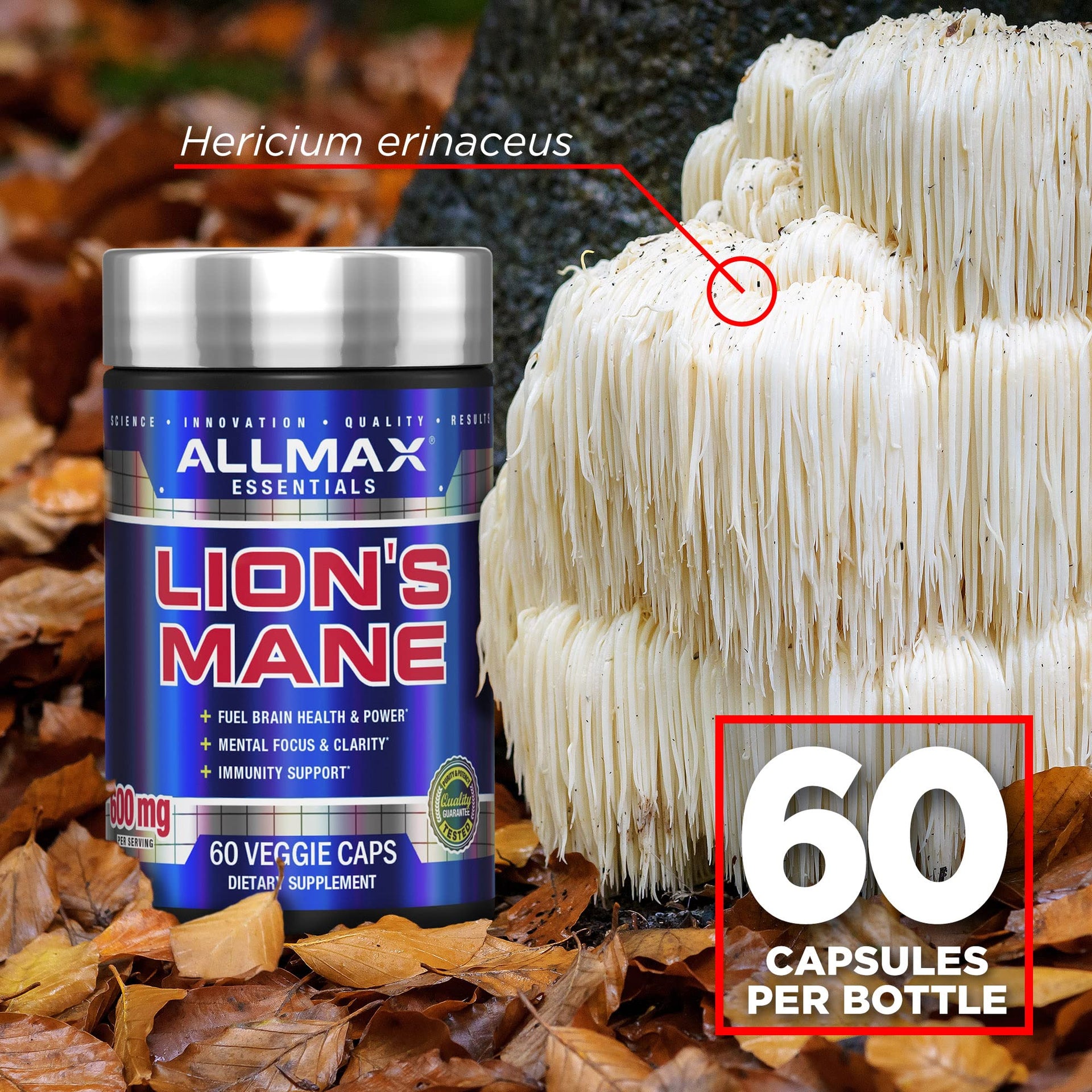 Allmax Lion’s Mane Mushroom Supplement (60 Capsules)